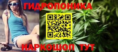 дмт Можайск